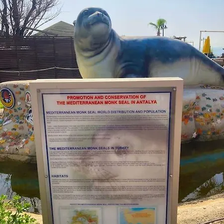 Karden Antalya
