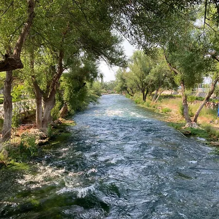 Karden