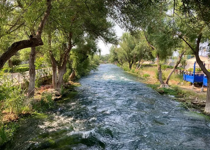 Karden